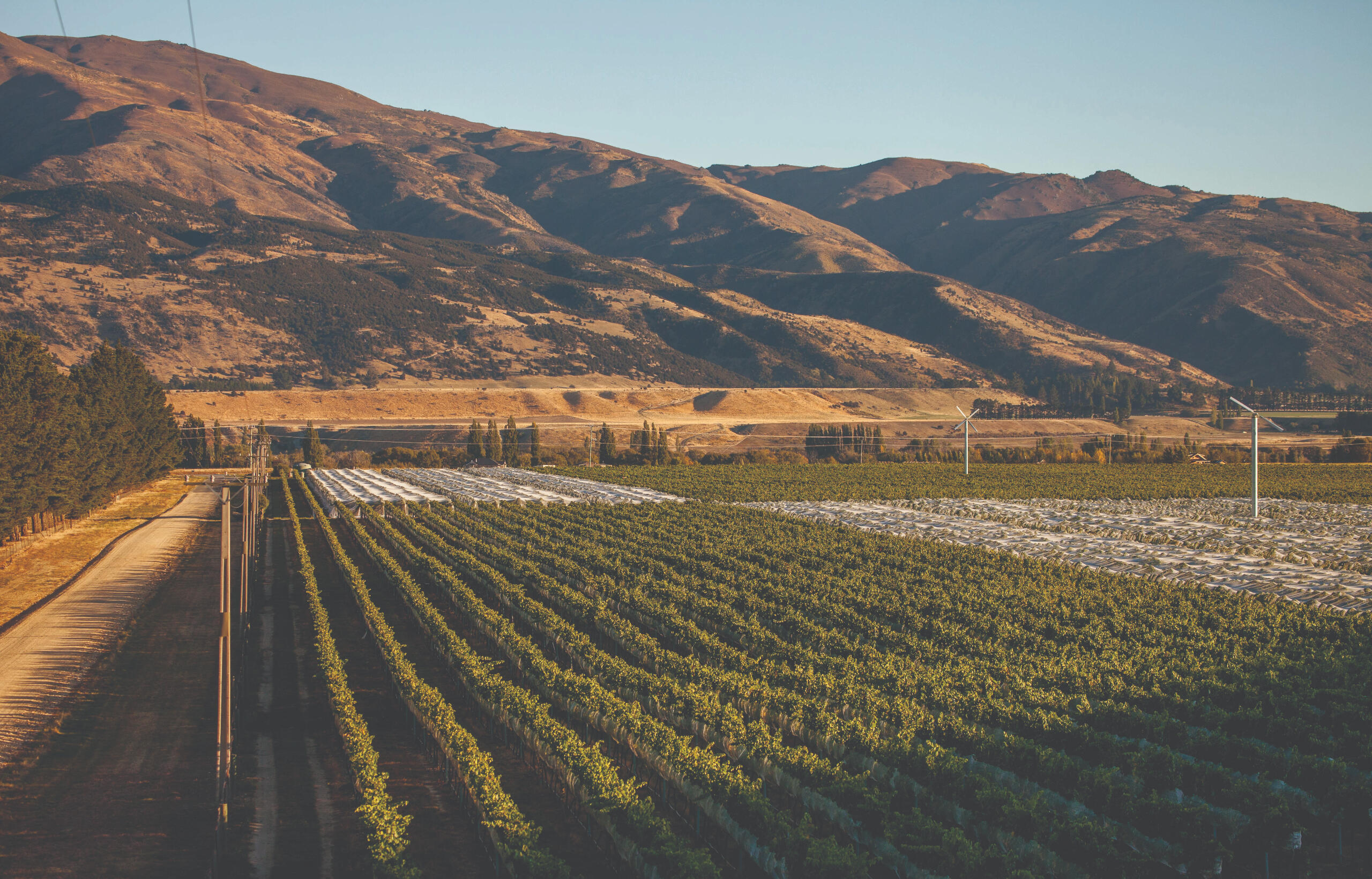 Eon Wines